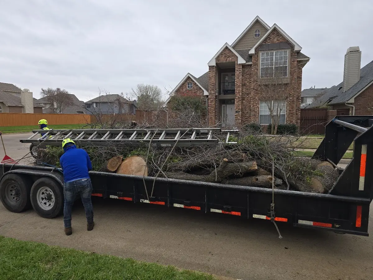 Expert Lot Clearing with proper safety equipment in Cohagen